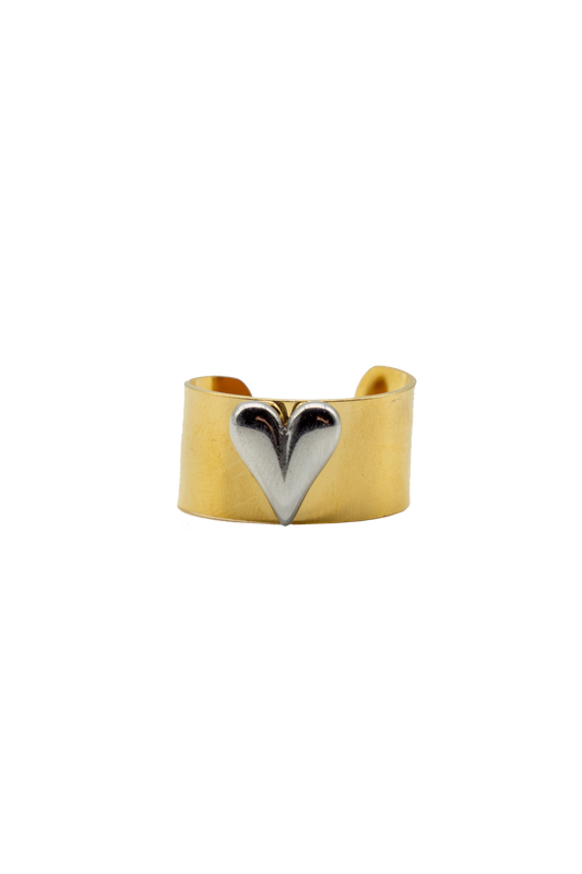 Anello Fascia